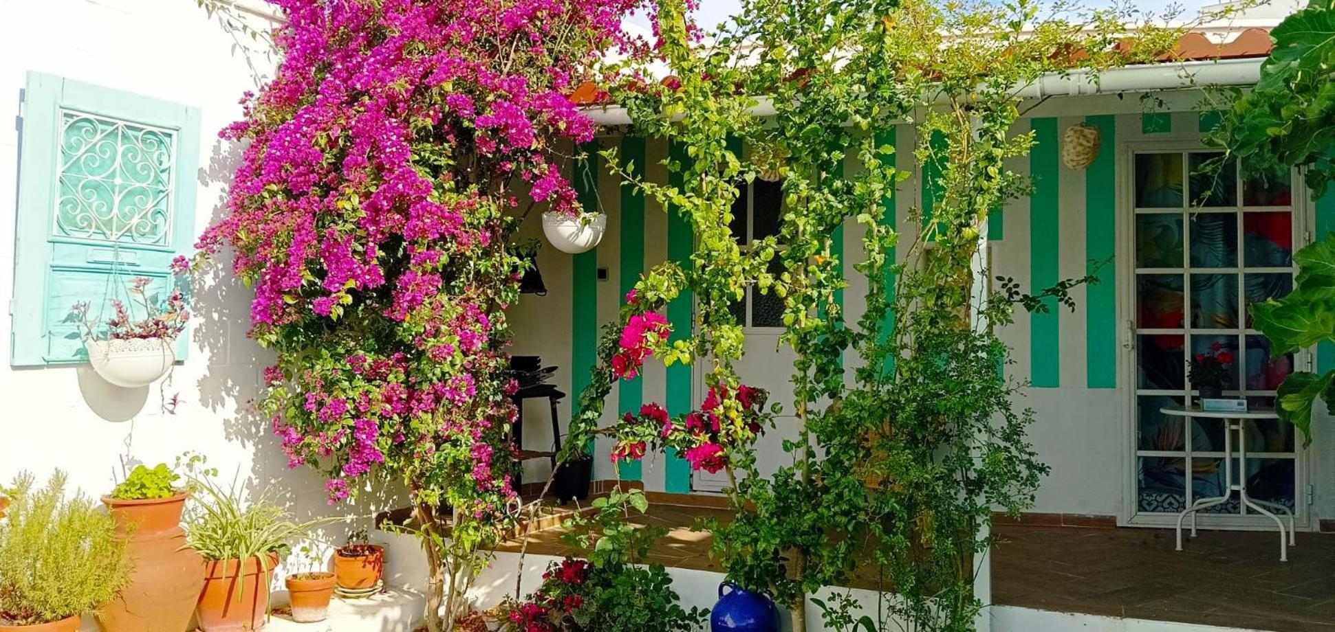 Casa Con Piscina Cerca De Sevilla Carrion de Los Cespedes Exteriör bild