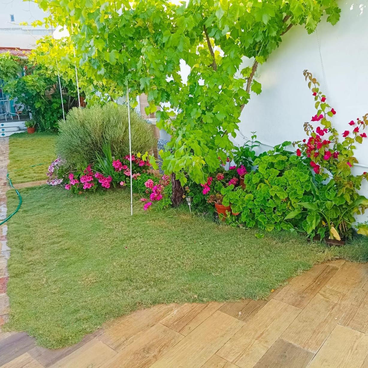 Casa Con Piscina Cerca De Sevilla Carrion de Los Cespedes Exteriör bild